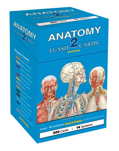 Anatomy 2 Flash Cards Bc 232469