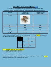 Sex Linked Traits And Pedigree Charts Pdf Part Sex Linked Traits Edpuzzle Link In Fruit