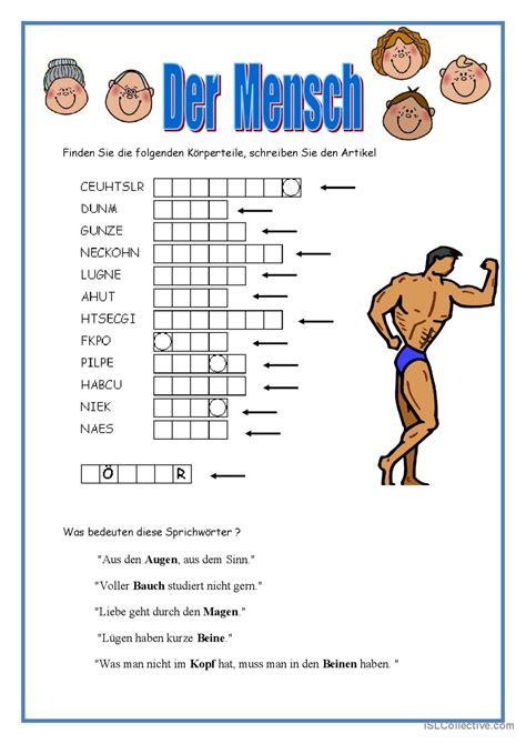 Körperteile mit Lösung Deutsch DAF Arbeitsblätter pdf doc