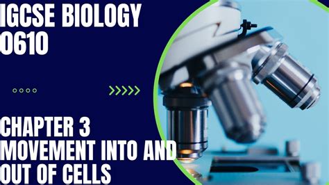 Chapter 3 Movement Into And Out Of Cells Interactive Video Igcse