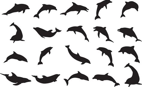 The Set Of Dolphin Silhouette Collection 13209319 Vector Art At Vecteezy