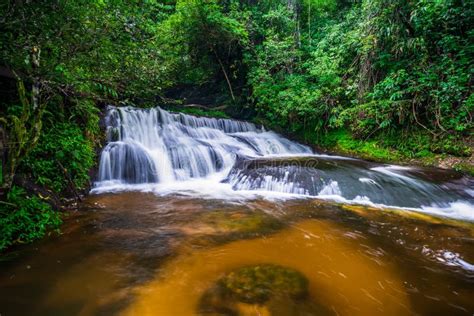 Beautiful Tropical Rainforest Waterfall In Deep Forest Stock Image