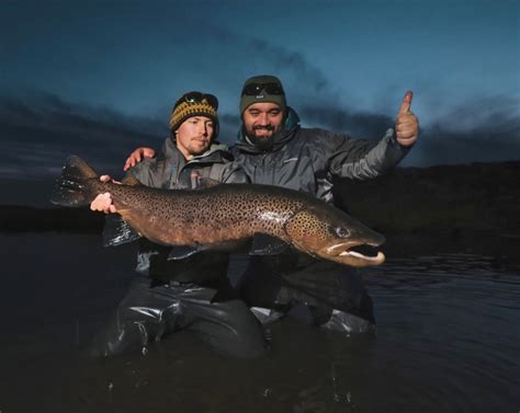 Angler Story Of The Week Icelandic Sea Trout Flylords Mag