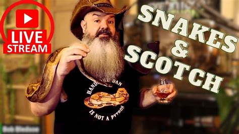 Live Snakes Scotch What Could Possibly Go Wrong Youtube