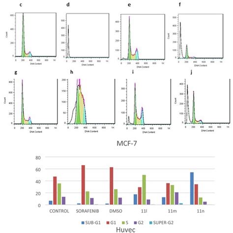 Flow Cytometric Analysis Of Cells Cycle Distribution On Huvec And Mcf 7 Download Scientific