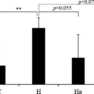 Effects Of Vitamin E Analogs On Gene Expression Of Inflammatory