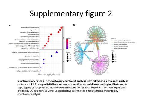 MicroRNA 190b Targets RFWD3 In Estrogen Receptor Positive Breast Cancer