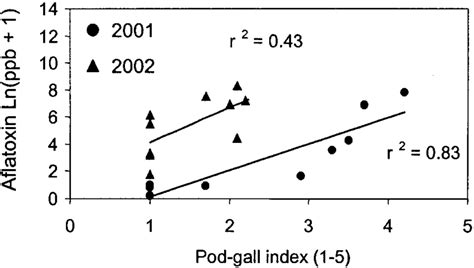 Relationship Between Pod Galling From Meloidogyne Arenaria And