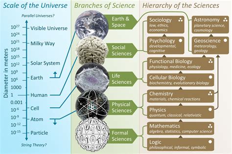 Talk Branches Of Science Wikipedia