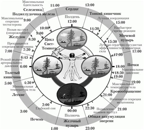 Циклы Миланковича - КОНЦЕПЦИИ СОВРЕМЕННОГО ЕСТЕСТВОЗНАНИЯ