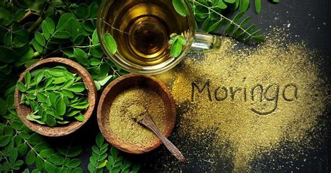 Moringa Tea Side Effects and Uses- 4 Proven Researches | Marham