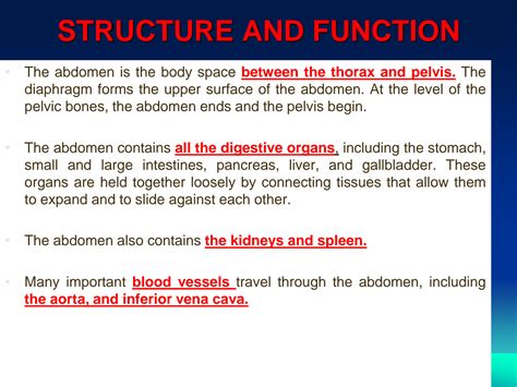 Solution Abdomen Physical Examination Health Assessment Studypool