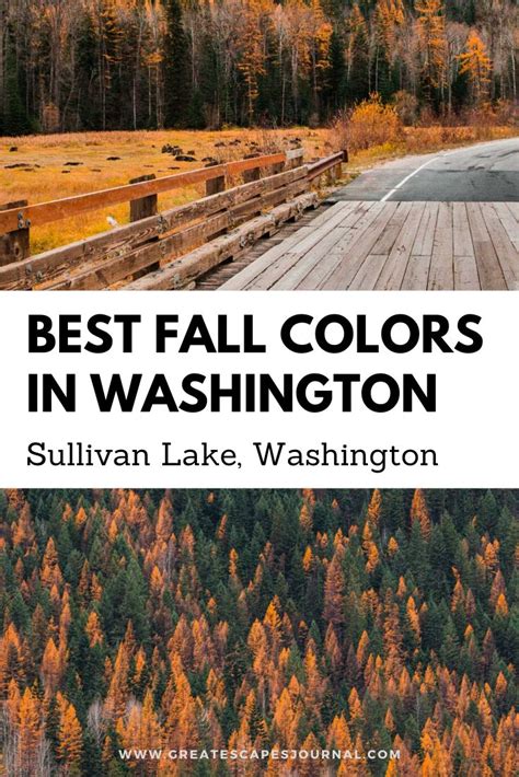 Best Fall Colors in Washington | Colville national forest, West coast ...