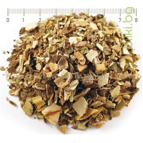 Калина кора Viburnum opulus 100 гр при кръвотечение | онлайн магазин ...