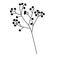 Babys Breath Icon Free Png Svg Noun Project