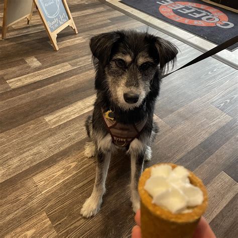 Pet Friendly Places in Grand Forks