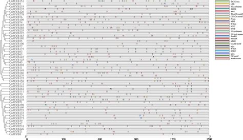 Predicted Cis Acting Elements Related With Stress Response And Hormones