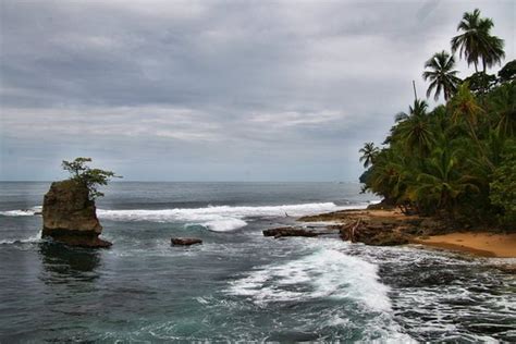 Gandoca - Manzanillo Wildlife Refuge (Province of Limon) - 2020 All You ...