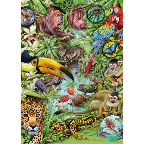 Flora And Fauna Rainforest Jigsaws Puzzle Master Inc