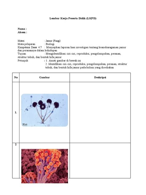 Lkpd Biologi Jamur Fungi Ciri Reproduksi Peranan Struktur Hifa Pdf