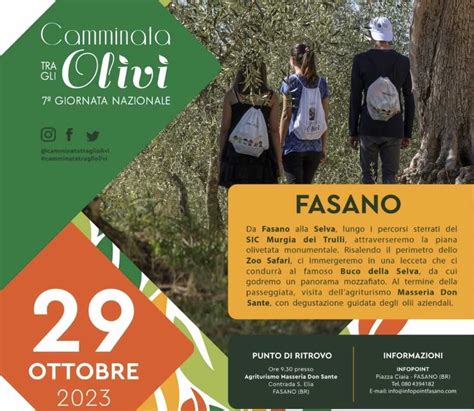 Tutto Pronto Per La Camminata Tra Gli Olivi