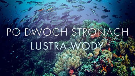 Po dwóch stronach lustra wody programy Oglądaj na TVP VOD