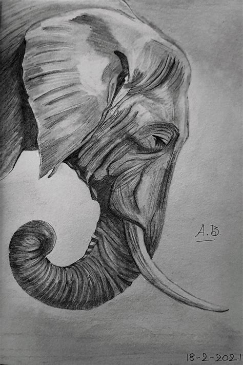 Pin By Leroy Payne On Boredpanda In 2024 Elephant Sketch Elephant