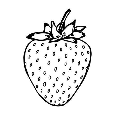 Vectores E Ilustraciones De Frutillas Dibujo Para Descargar Gratis