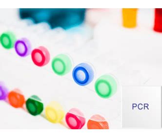 Opti Seal Qpcr Roche Low Profile