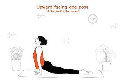 Premium Vector Woman Doing Yoga Asana Upward Facing Dog Pose Or