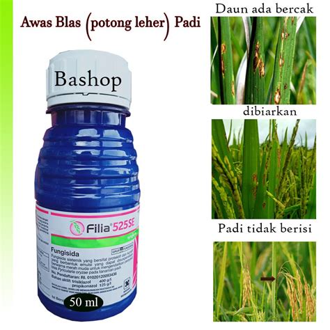 Jual Fungisida FILIA Anti Blass Potong Leher Padi Shopee Indonesia