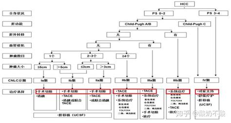 原发性肝癌诊疗规范2019年版 知乎