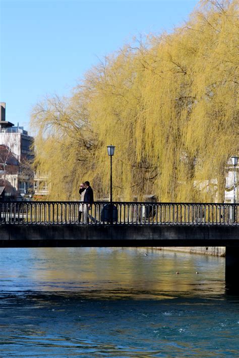 Brücke über Aare in der Stadt Thun im Berner Oberland Flickr