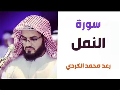 ٢٧ سورة النمل الشيخ رعد محمد الكردي YouTube