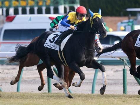 【きさらぎ賞】3歳戦は須貝厩舎にお任せ！ 良血フリームファクシで参戦 競馬ニュース Netkeiba