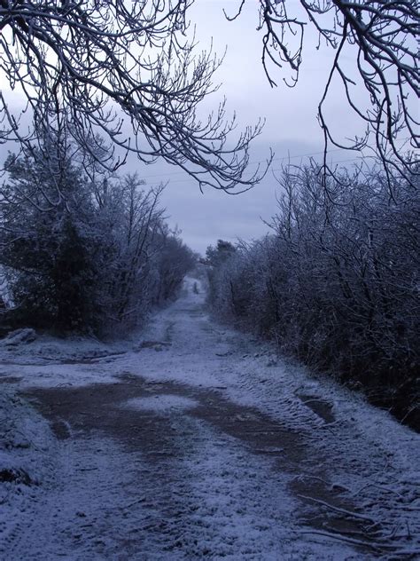 Caldertop Cottage Nature Diary: Snow in December