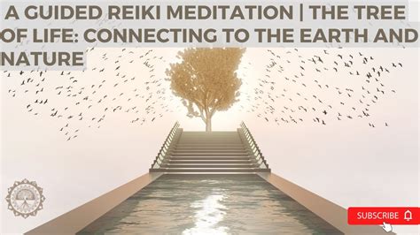 A Guided Reiki Meditation The Tree Of Life Connecting To The Earth