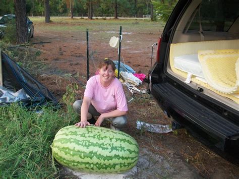 002 Giant Watermelon Growers Club Growin Big Melons