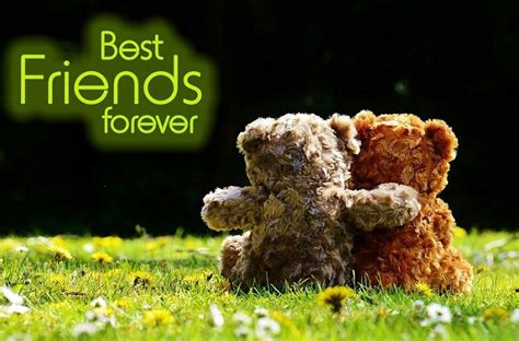 Friendship Status For Whatsapp 100 Best Cute Status For Friends Forever