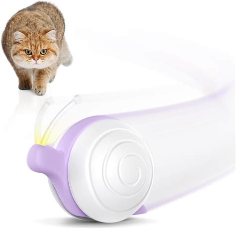 Amazon Cheerble Interactive Cat Toy For Indoor Cats Wicked Snail