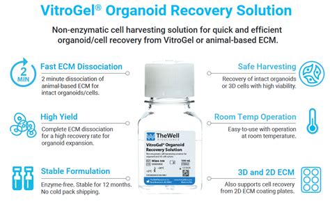 New Product VitroGel Organoid Recovery Solution TheWell Bioscience