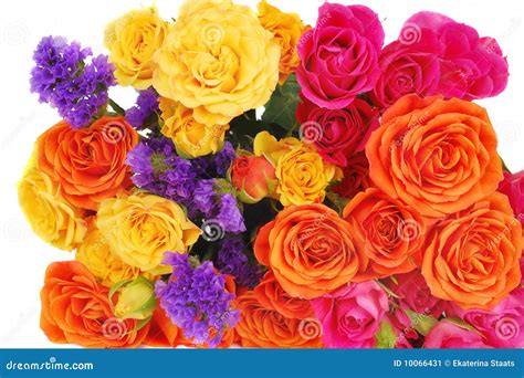 Color Roses Bouquet Isolated Stock Image - Image: 10066431