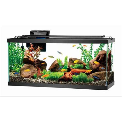 Tetra Open Glass 20 Gallon Rectangular Fish Aquarium Tank Petco Lupon