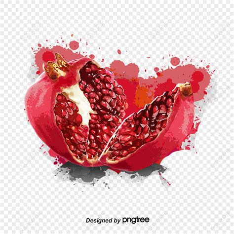 Watercolor Pomegranate Fruit Illustration Creative Fruit PNG