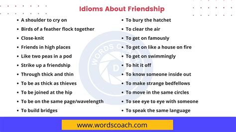 Idioms About Friendship Word Coach