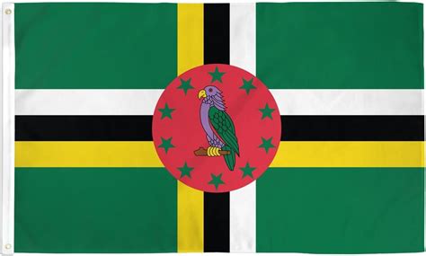 Amazon.com : AZ FLAG Dominica Flag 2' x 3' - Dominican Flags 60 x 90 cm ...