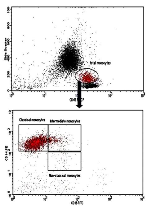 Gating Strategy For Monocyte Subsets Download Scientific Diagram