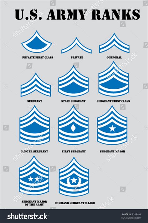 Army Ranks Stock Vector 8208499 : Shutterstock