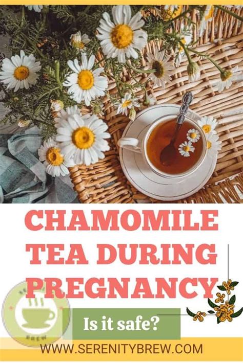 Chamomile Tea During Pregnancy Is It Safe Serenity Brew