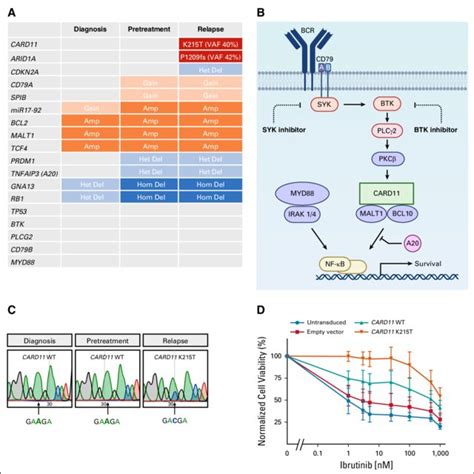 A Summary Of Whole Exome Sequencing Of Samples Taken From Three